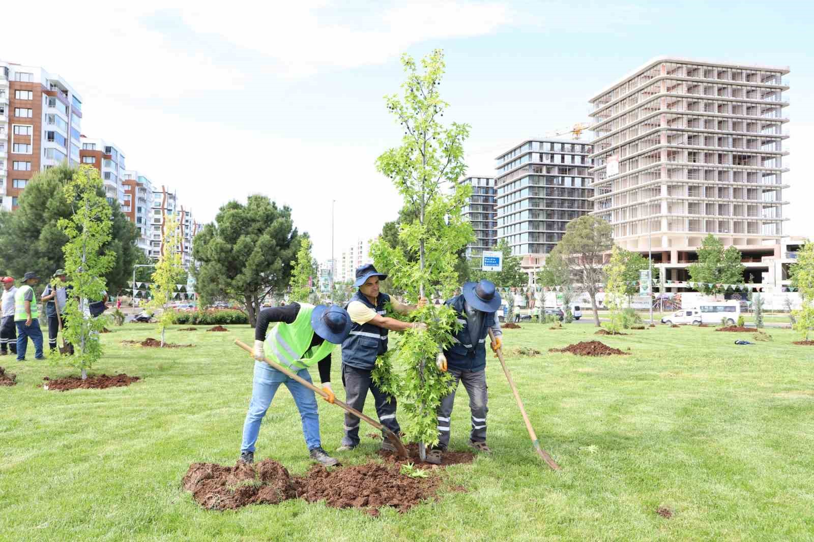 mahabad-bulvarinda-peyzaj-calismalari-devam-ediyor