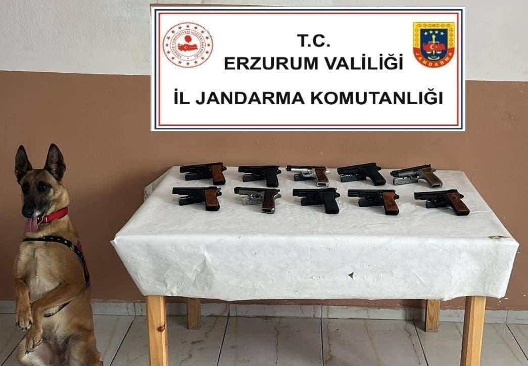 oltuda-10-adet-ruhsatsiz-tabanca-ele-gecirildi