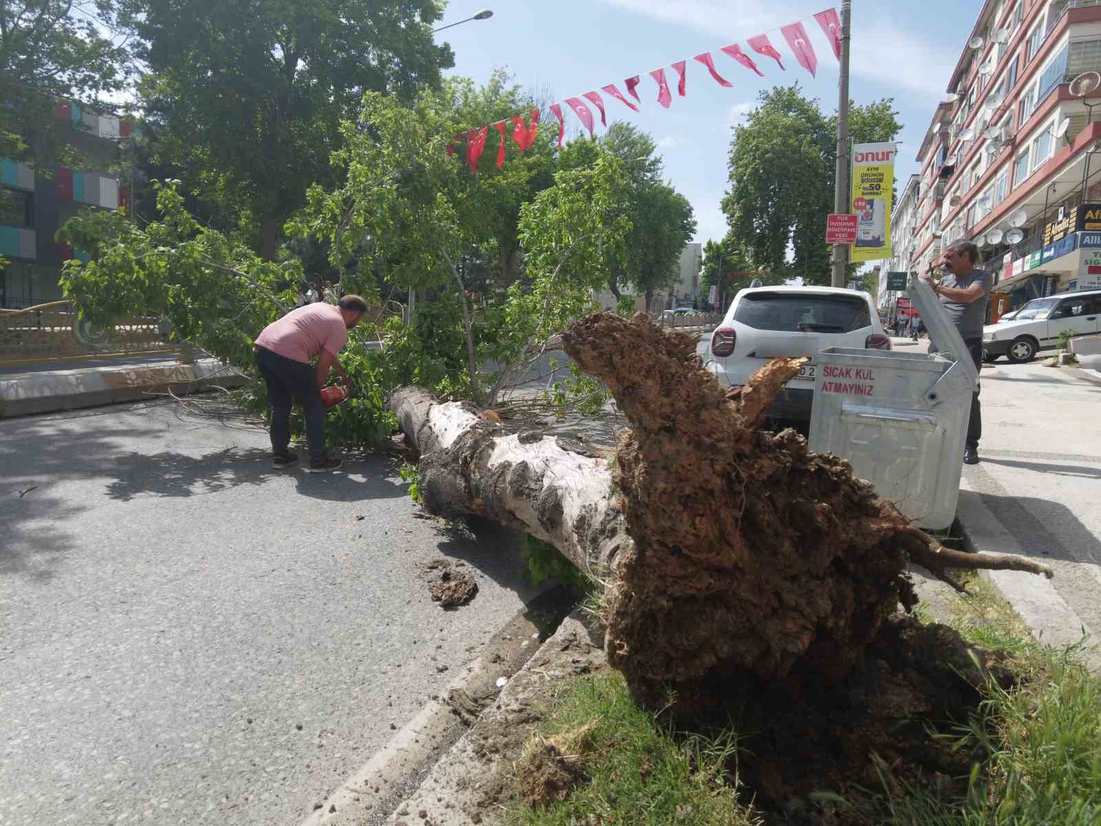 edirnede-devrilen-agac-yolu-trafige-kapatti-0-jpg