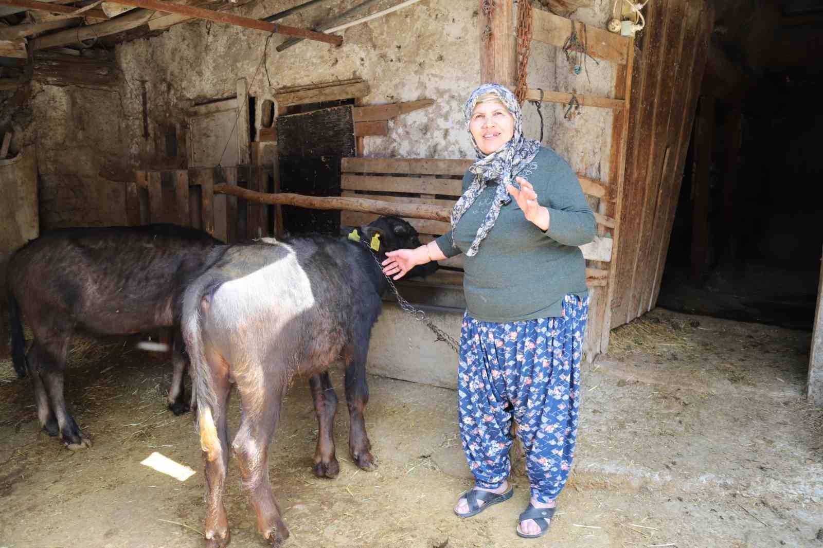 buyuksehir-destekledi-uretici-kazandi