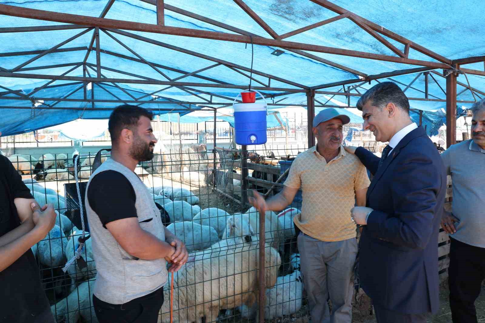 akdenizde-kurban-satis-yerleri-hazir