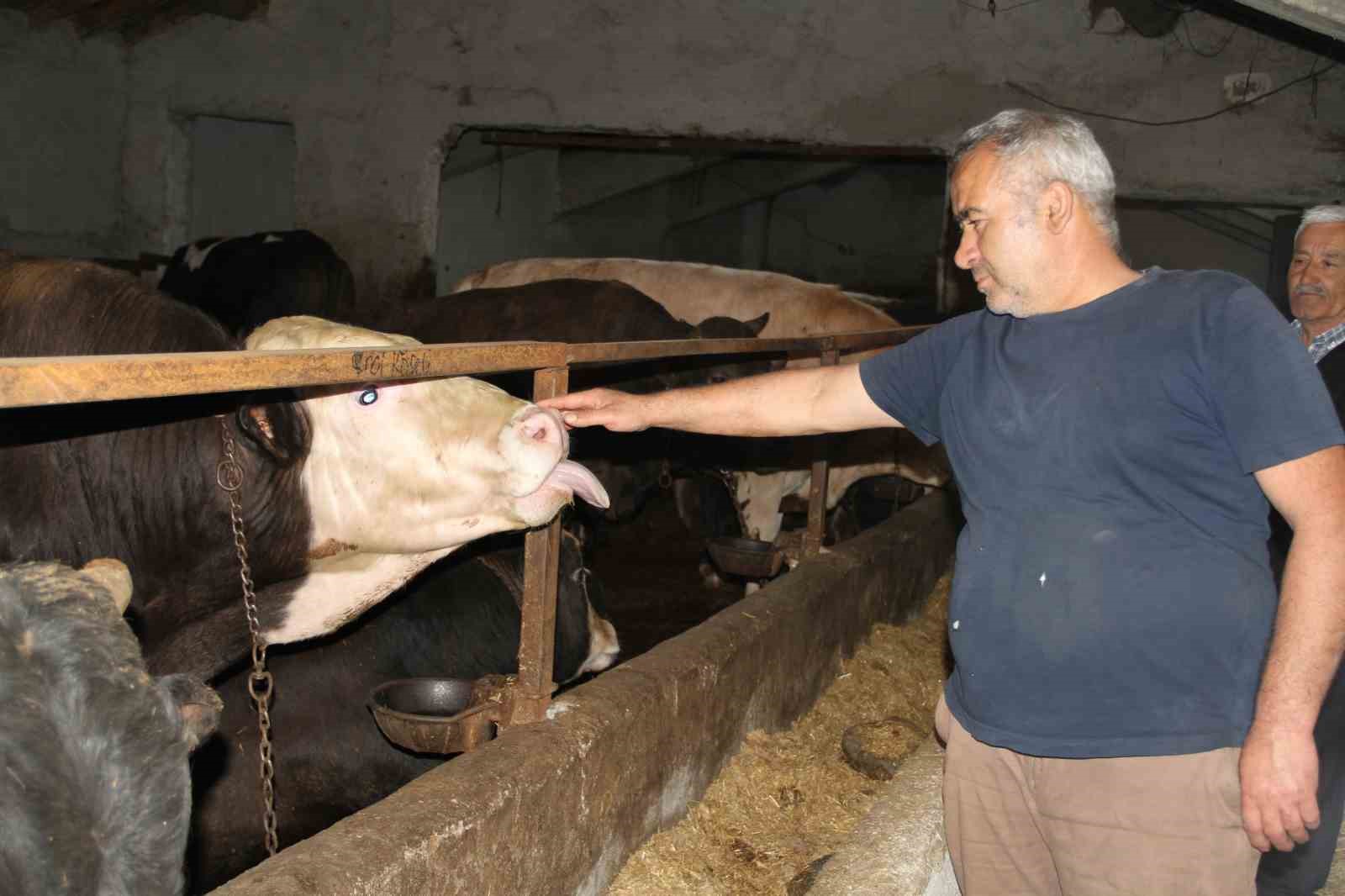 baskentliler-kurbanlik-aliminda-fiyatlarin-daha-dusuk-oldugu-cankiriyi-tercih-ediyor