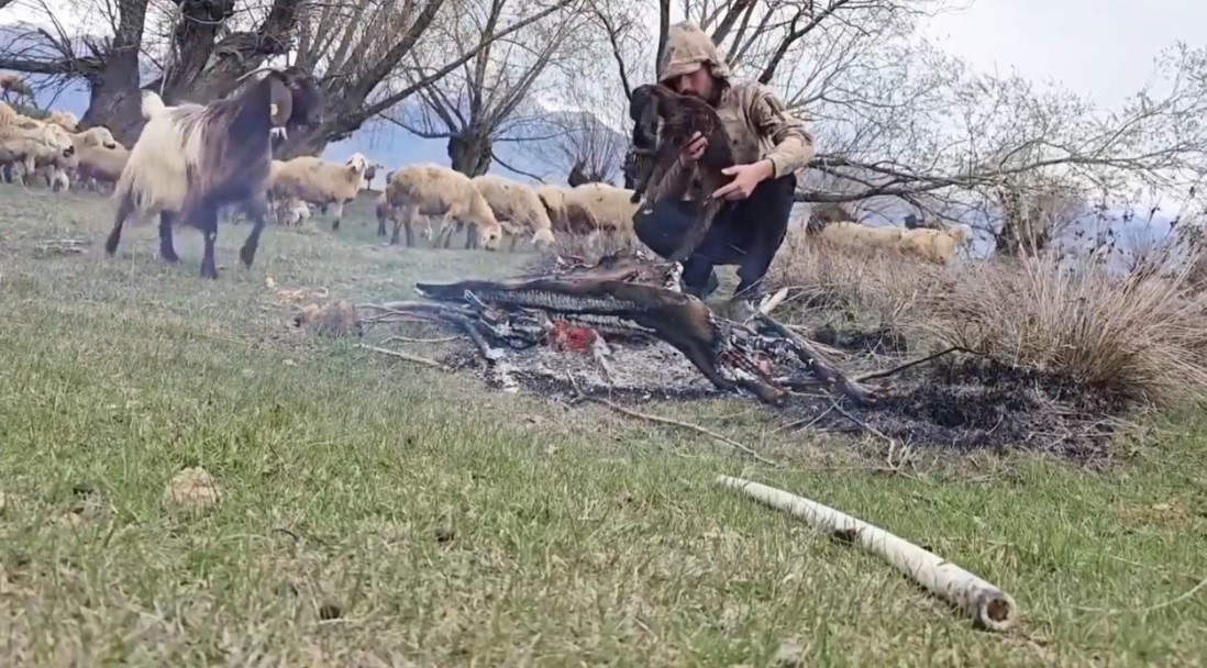 doluya-yakalanan-surude-islanan-oglagi-ates-yakarak-isitti