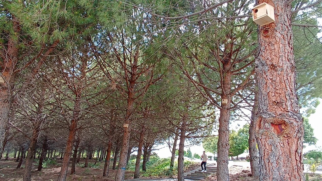 gediz-myo-kampusune-kus-yuvalari-yerlestirildi