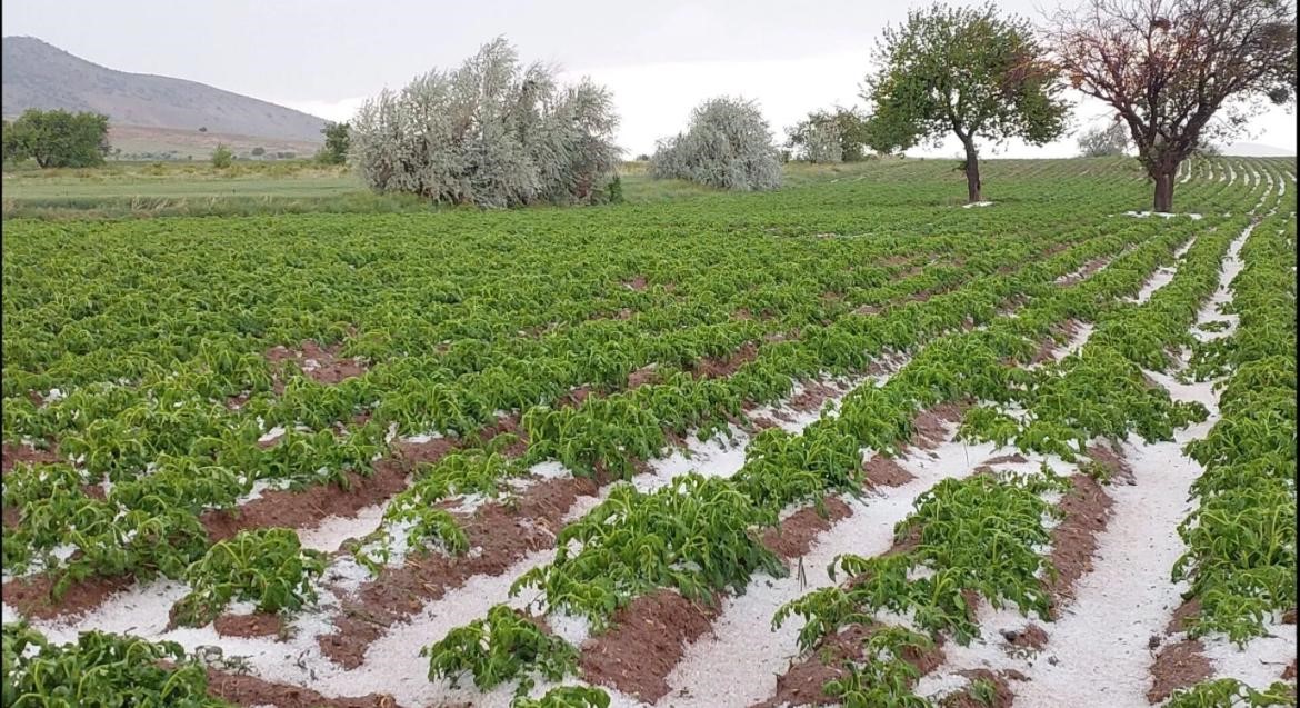 nevsehirde-sel-ve-dolu-tarim-arazilerini-vurdu