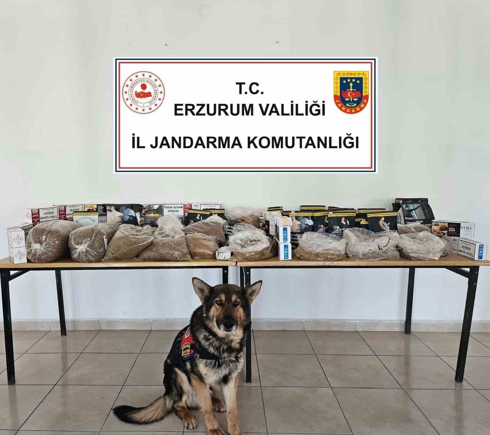 jandarmadan-kacak-tutun-operasyonu