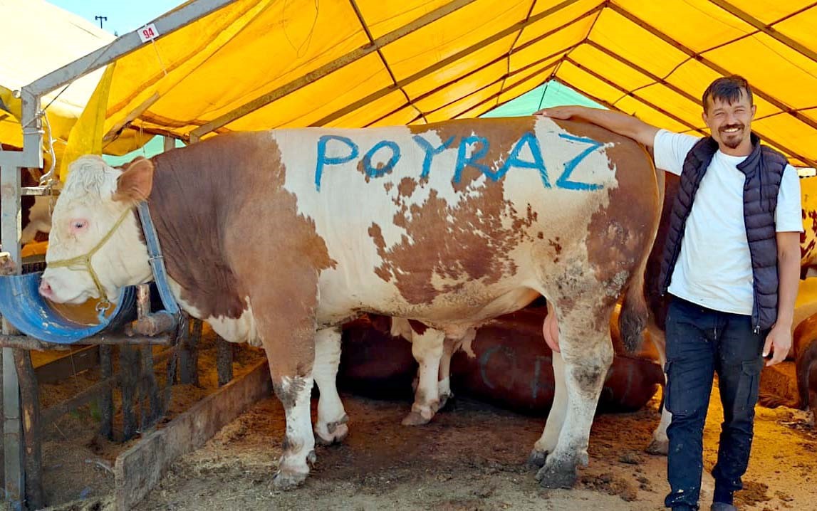 pazarin-agir-abisi-poyraz-ilk-gunden-satildi