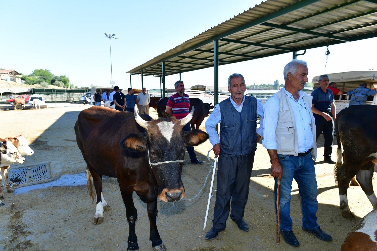 yesilyurt-belediyesi-41-noktada-kurban-satis-ve-kesim-yeri-belirledi
