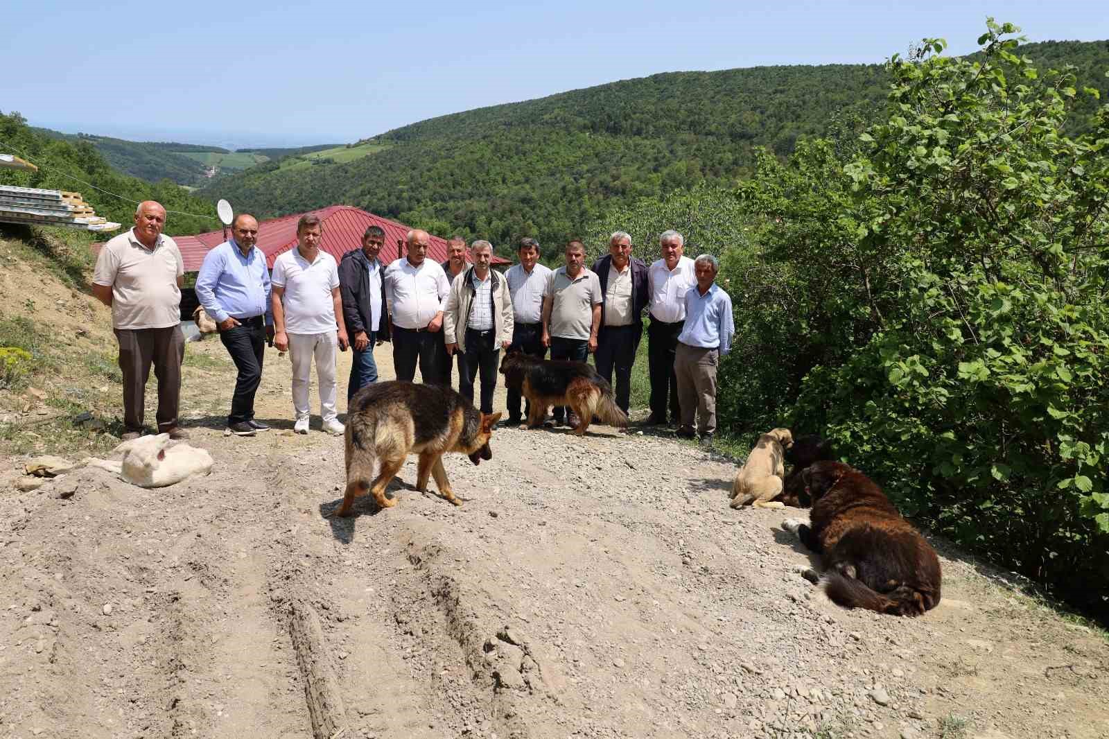 15-mahalle-muhtarindan-izinsiz-olusturulan-kopek-barinagina-sert-tepki