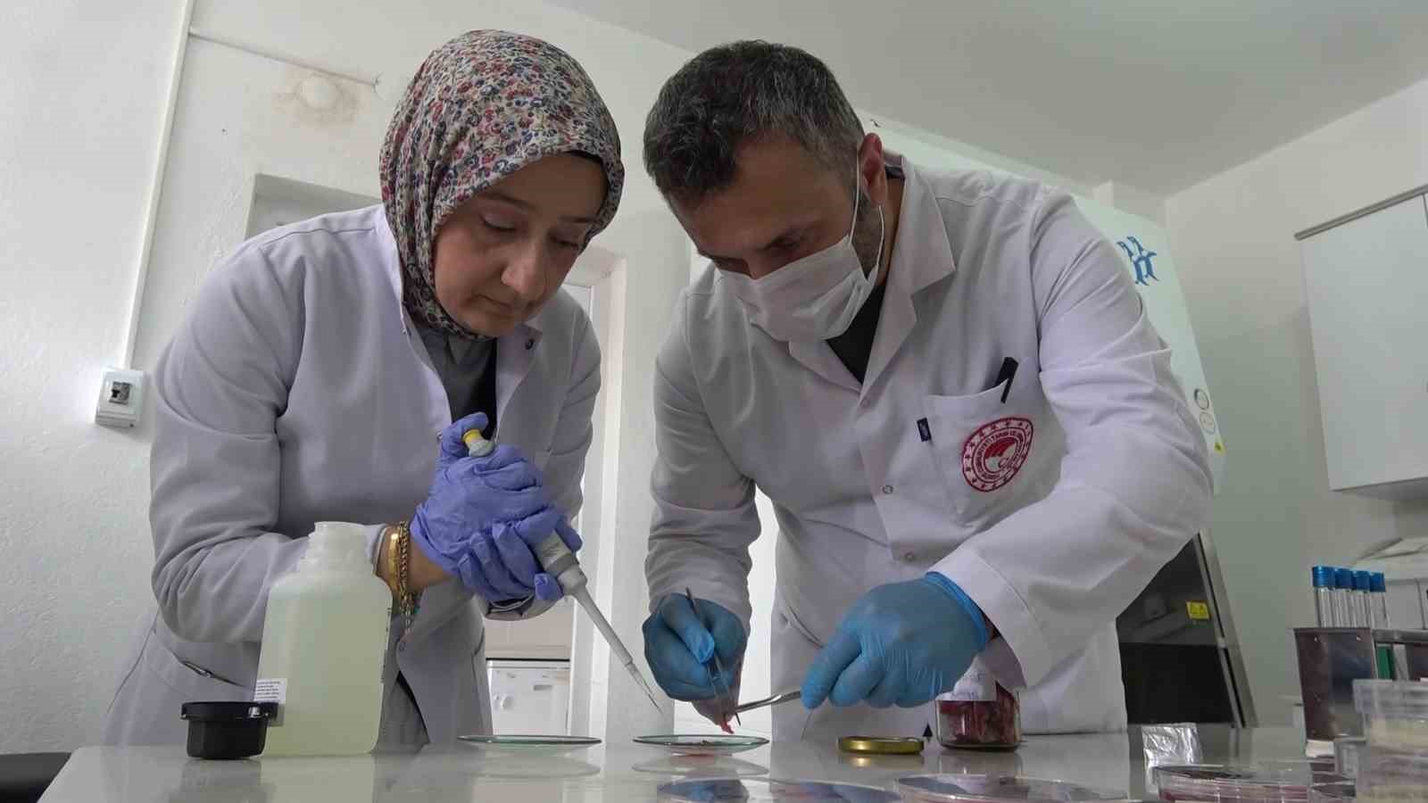 gida-uzmanindan-uyari-kurban-etini-hemen-buzdolabina-koymayin