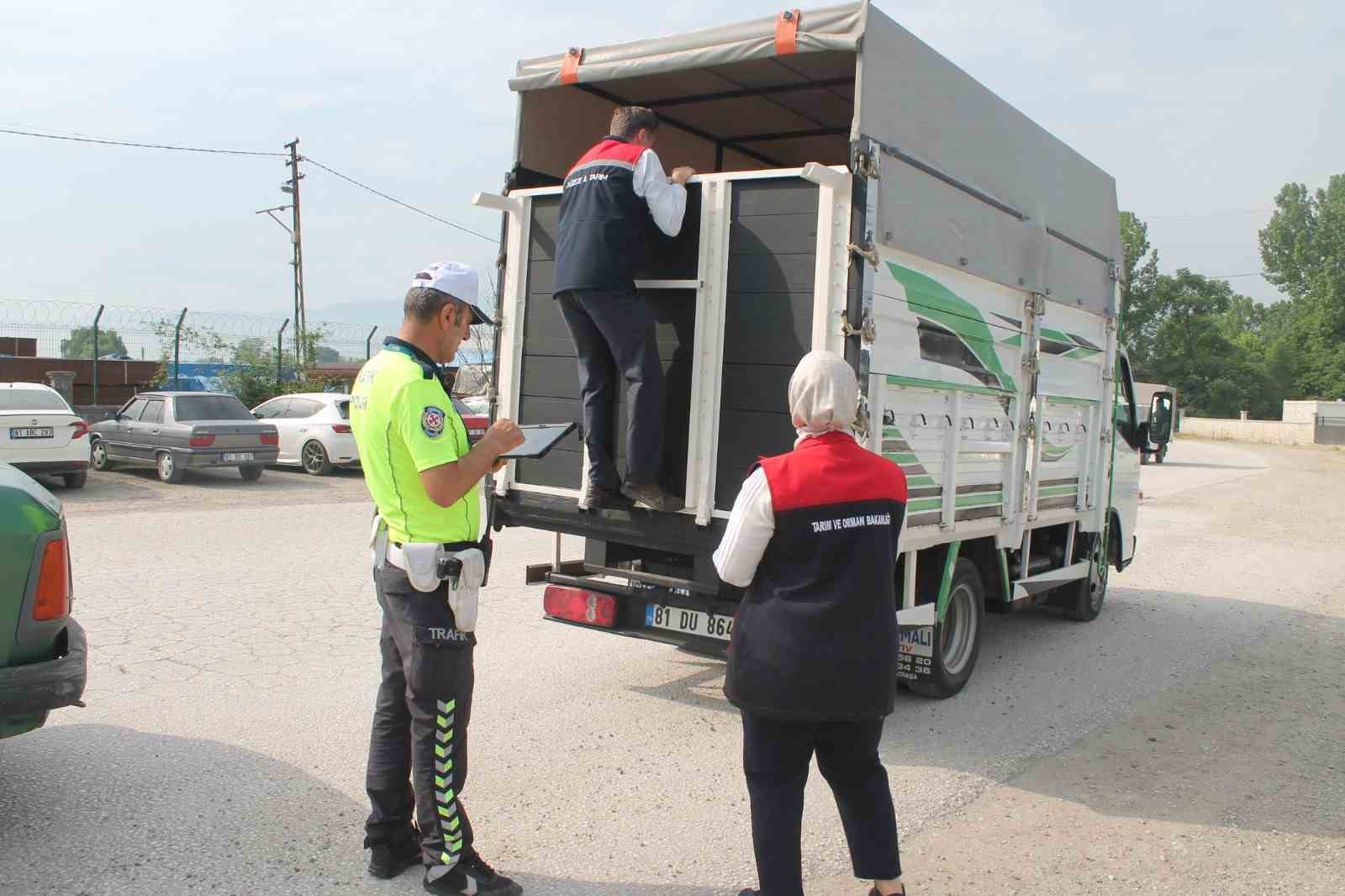 hayvan-pazarinda-siki-denetim