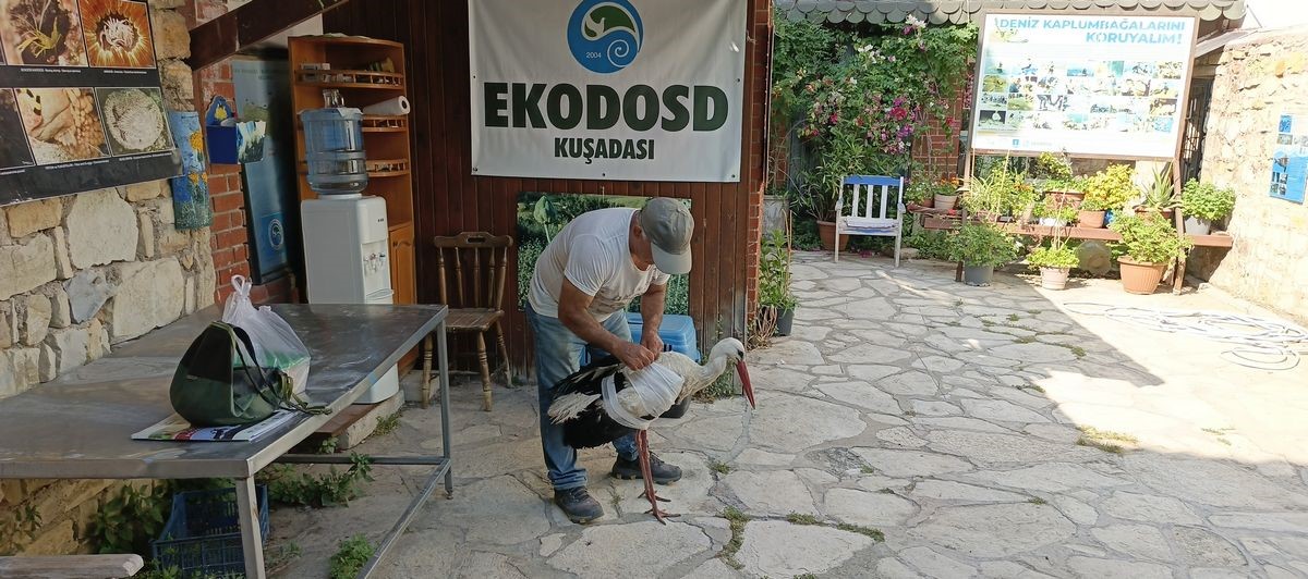 kamyon-carpan-leylek-tedavi-altina-alindi-baskan-surucu-dikkat-cagrisi-yapti