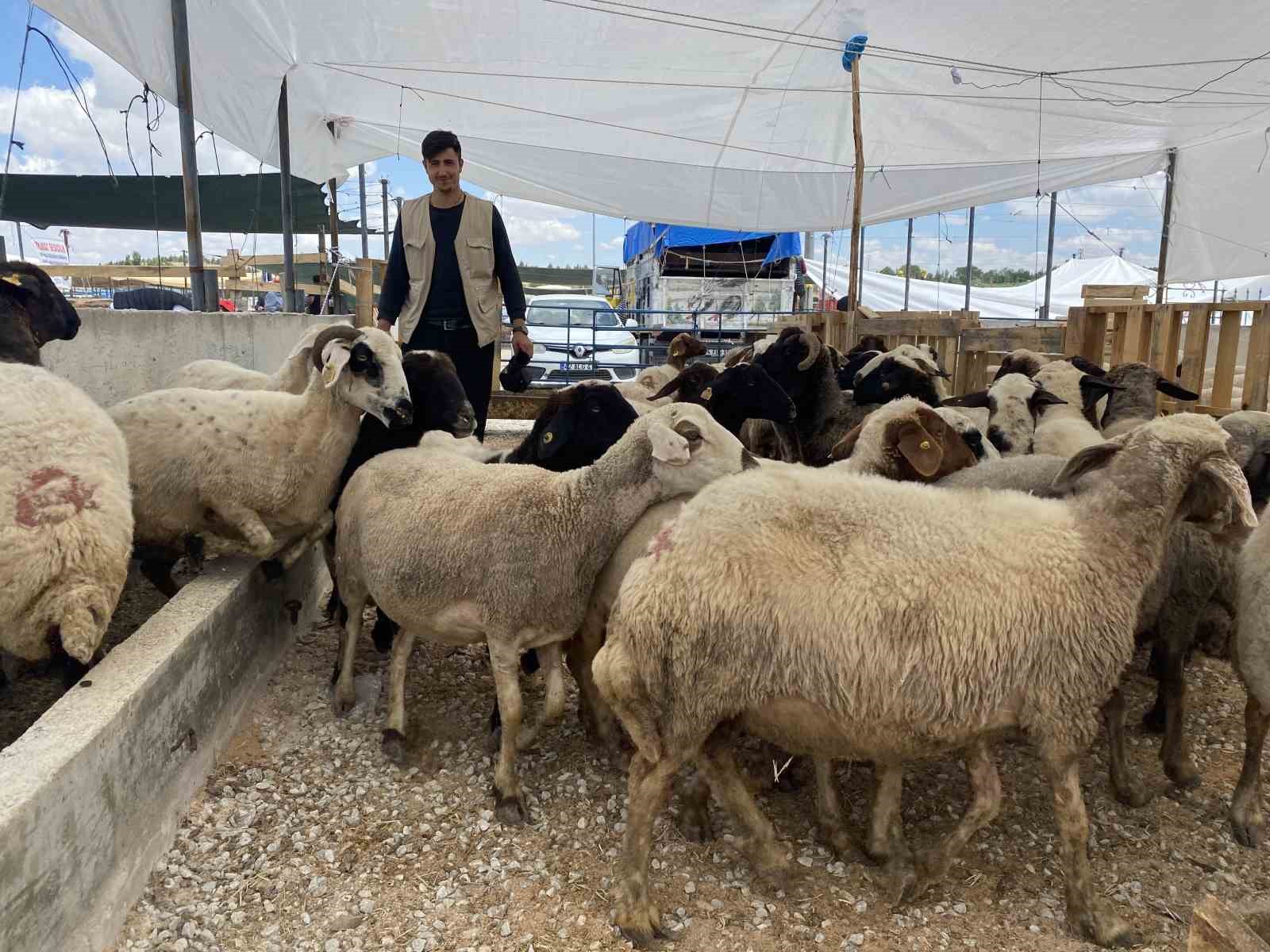 konyada-kurban-saticilari-yarini-bekliyor