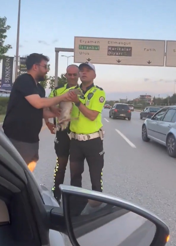 otoyola-atlayan-ordek-duyarli-vatandaslar-ve-trafik-polislerinin-mudahalesi-ile-kurtarildi