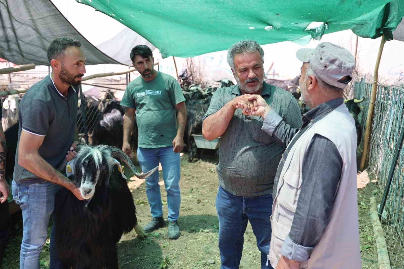 elazigda-kol-kiran-pazarliklar-suruyor