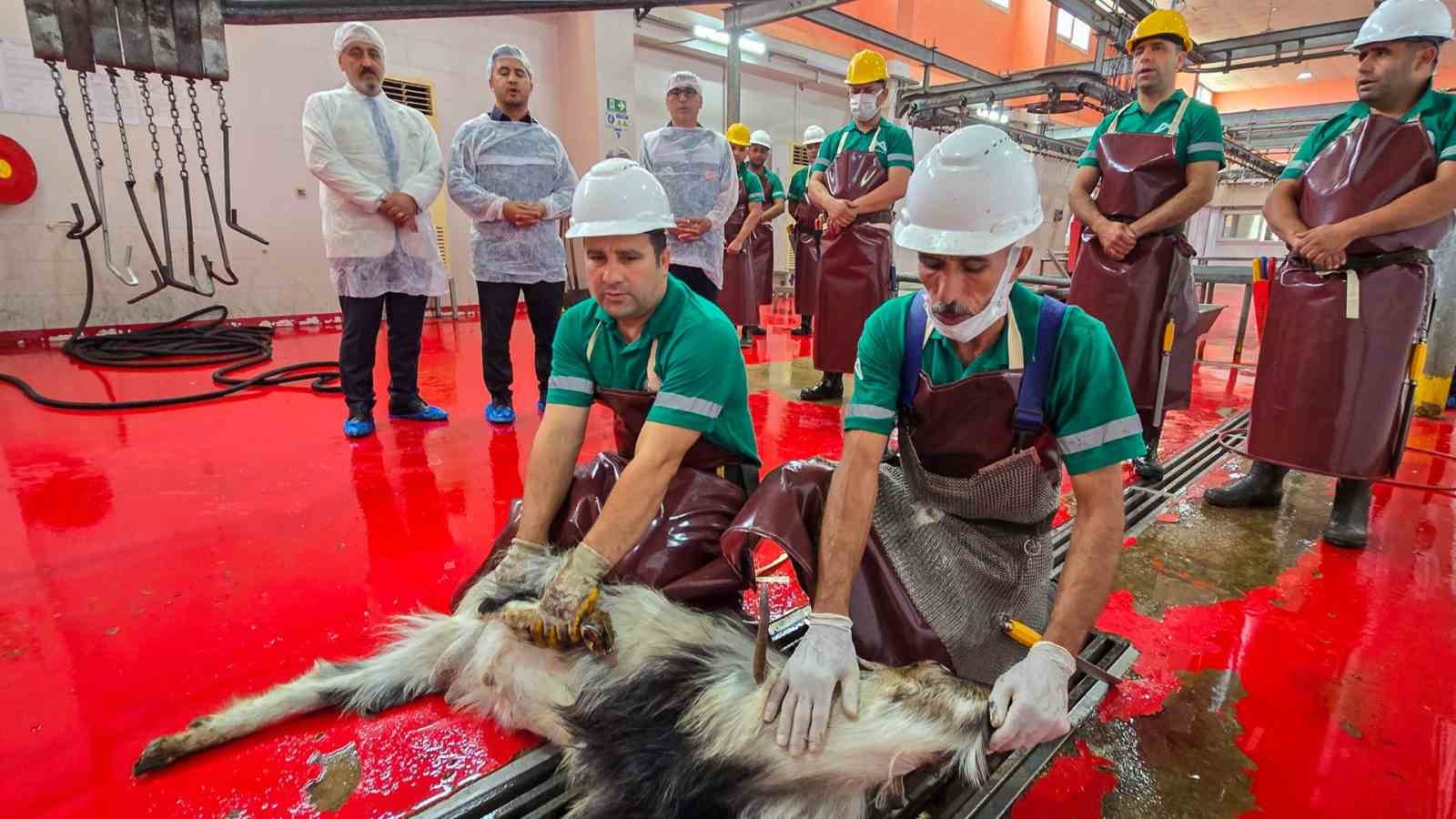 mersinde-sehitlerin-anisina-kurban-kesildi