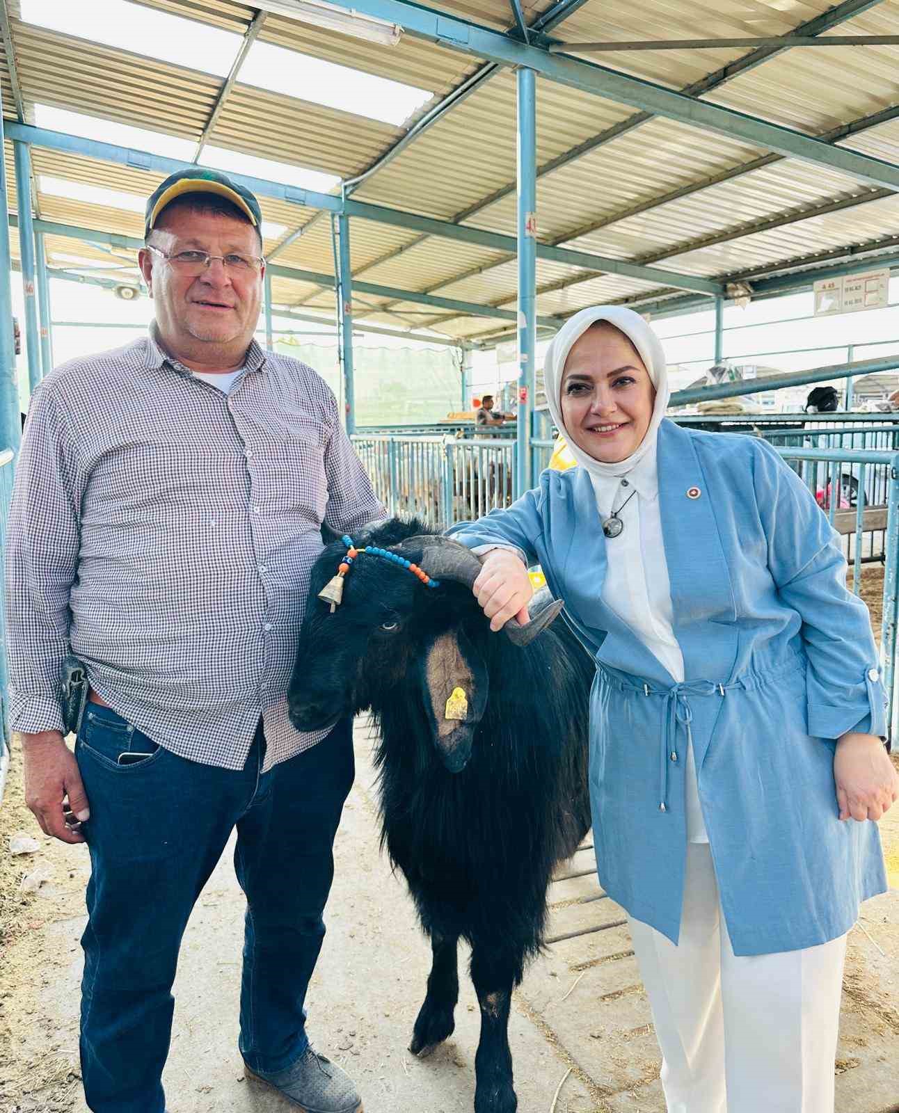 milletvekili-sema-silkin-un-kurban-pazarinda-yetistiricileri-dinledi