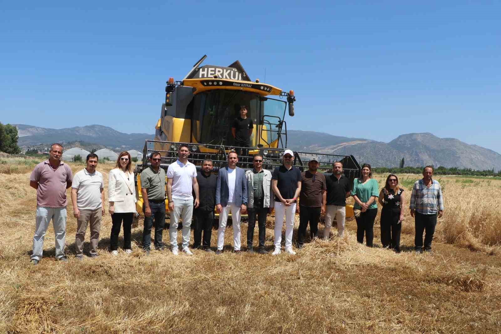 soke-belediyesinde-yeni-sezonun-bugday-hasadi