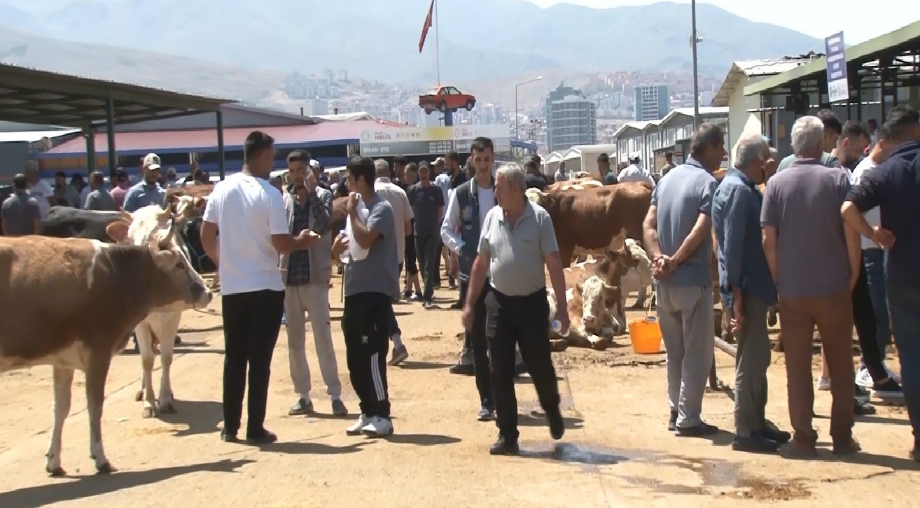 malatya-canli-hayvan-pazarinda-bayram-yogunlugu
