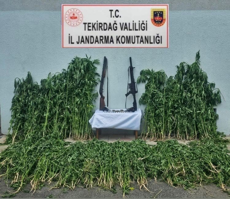 tekirdagda-jandarmadan-uyusturucu-ve-silah-operasyonu