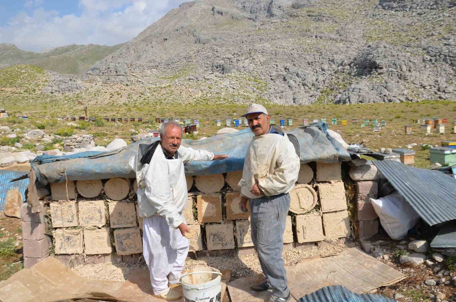 antalyada-aricilar-kara-kovanlarini-yuksek-kesimlerdeki-yaylalara-cikardi