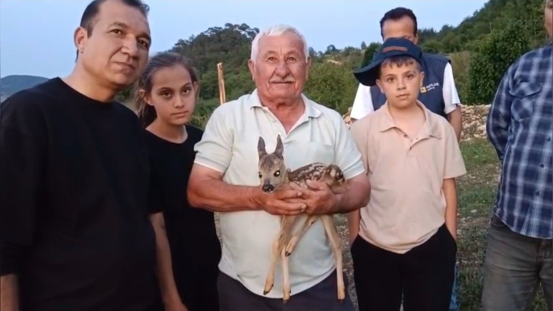 coban-buldugu-yavru-ceylana-keci-sutuyle-bakiyor