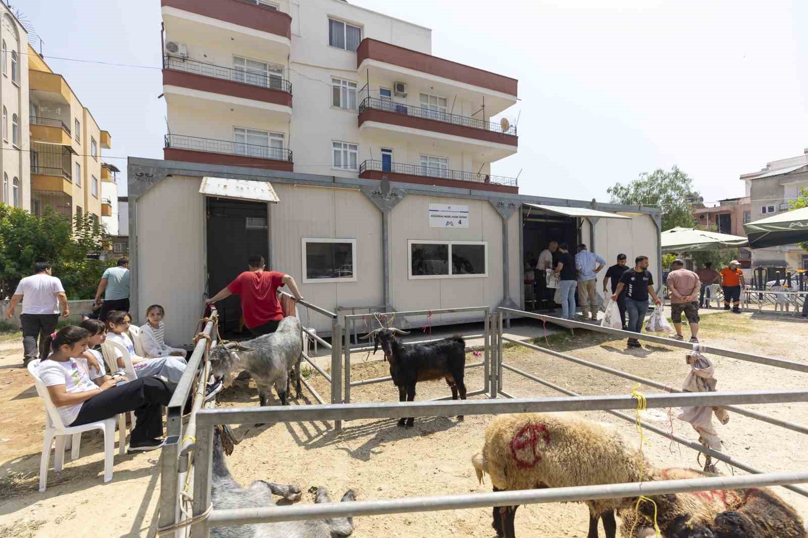 mersinde-kurban-kesimi-hem-hijyenik-hem-ucretsiz