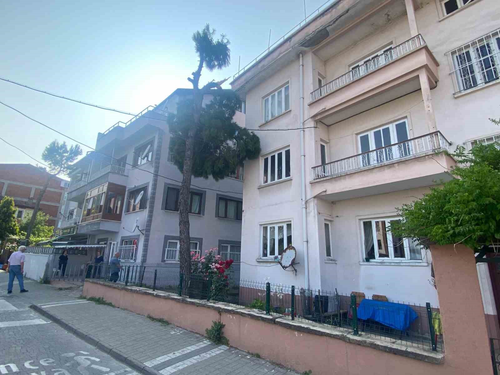 yikilma-tehlikesi-olan-agac-itfaiye-ekipleri-tarafindan-kesilecek