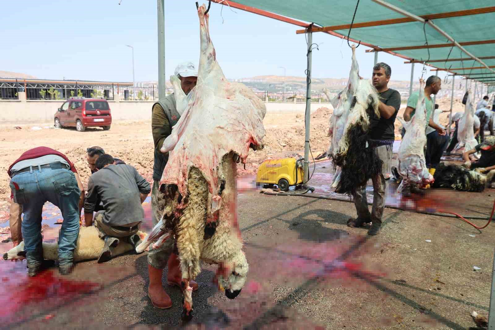 elazigda-bayramin-ucuncu-gunu-de-kurban-kesimi-devam-etti