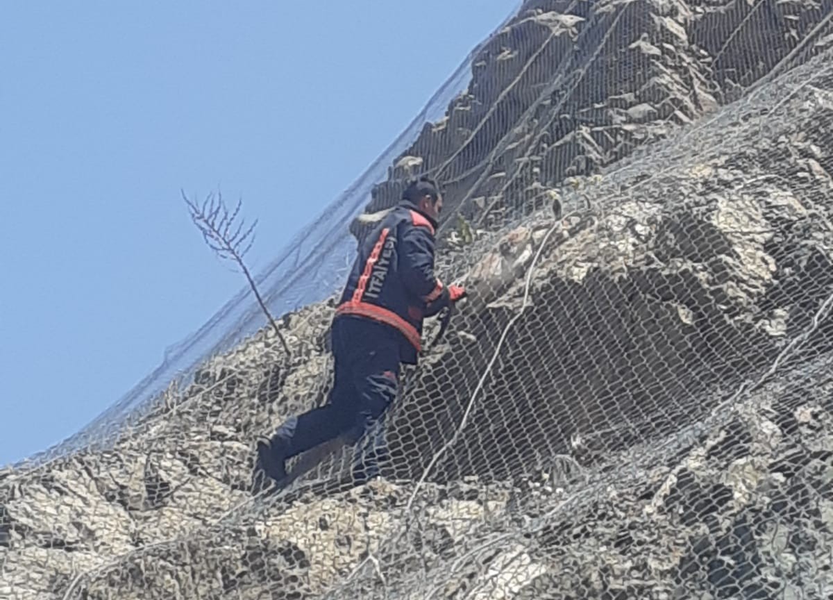 malatyada-aga-takilan-2-yaban-kecisi-kurtarildi