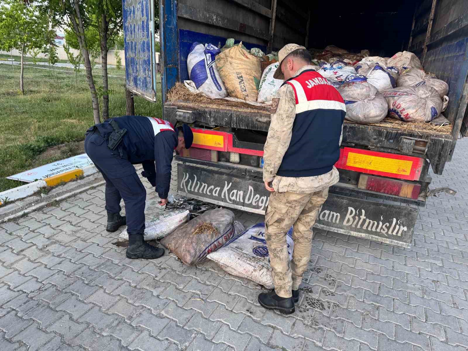 vanda-19-ton-200-kilo-inci-kefali-baligi-ele-gecirildi