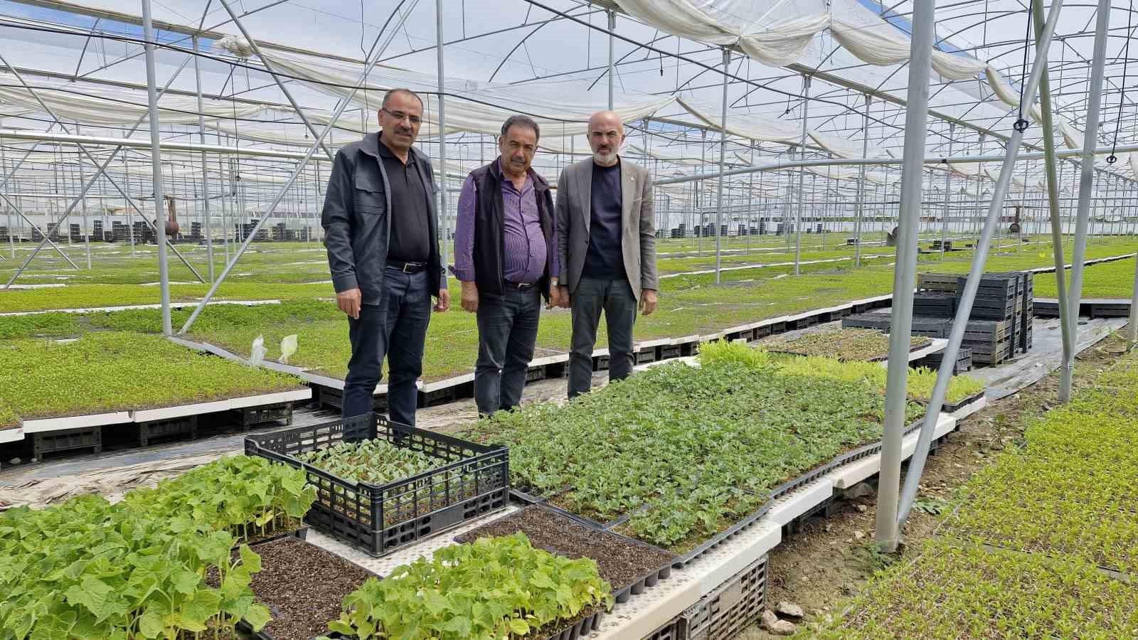 karamanda-bir-ciftci-kurdugu-serada-5-milyon-fide-uretiyor