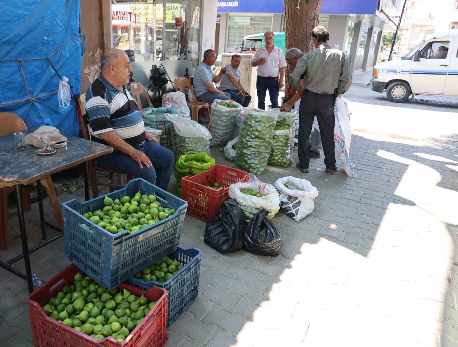 aydin-incirinde-ilekleme-sezonu-basladi