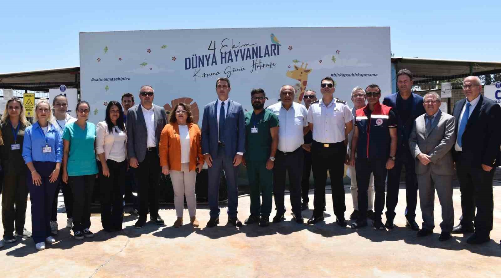 didimde-hayvan-barinagi-denetlendi