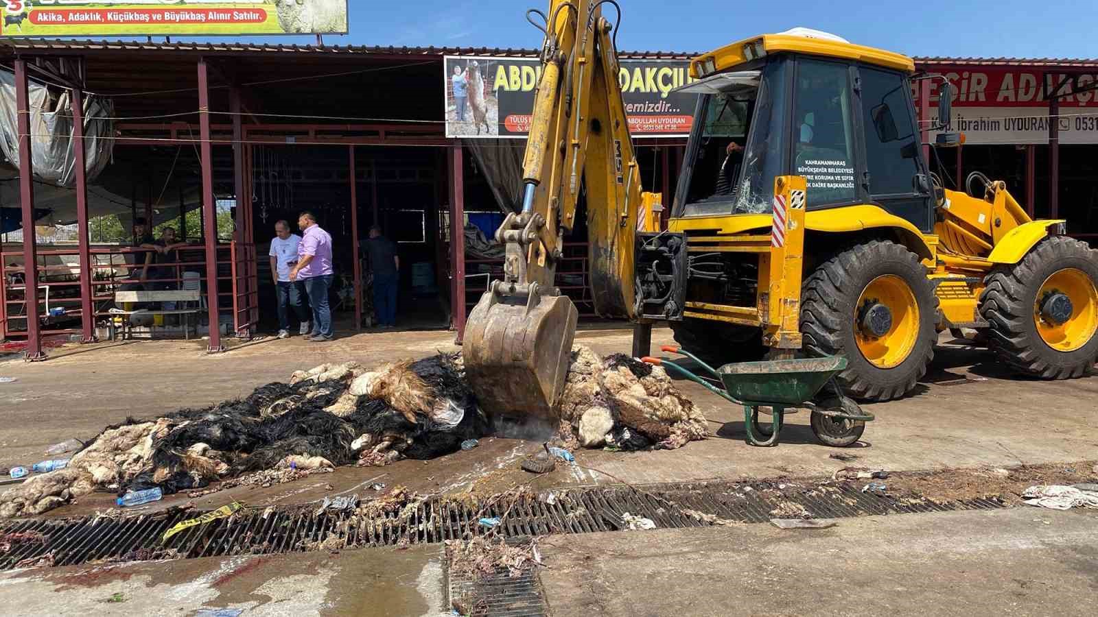 kahramanmarasta-hayvansal-atiklar-temizlendi