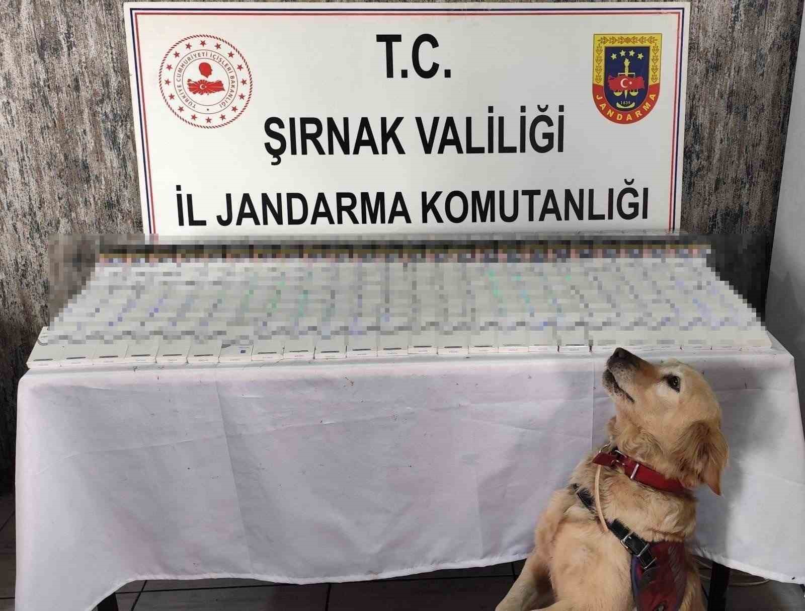 sirnakta-281-bin-500-tl-degerinde-kacak-malzeme-ele-gecirildi
