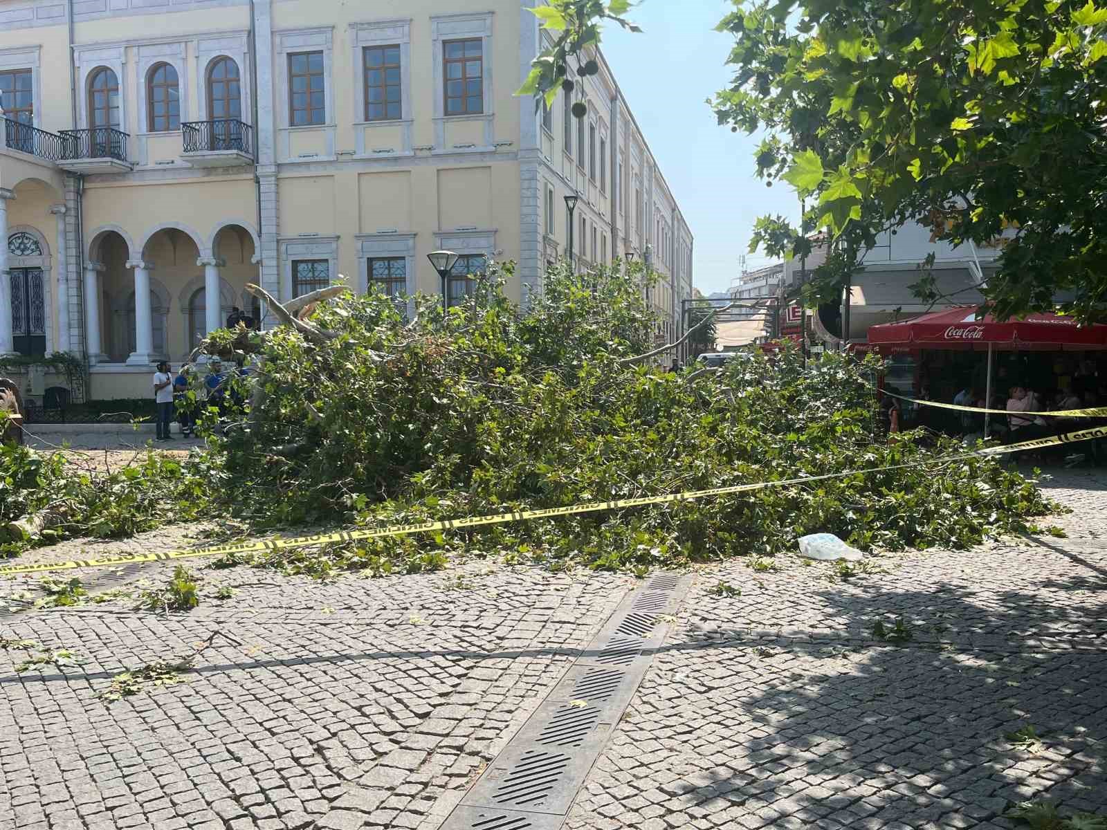 tarihi-kemeralti-carsisi-girisindeki-dev-cinar-devrildi