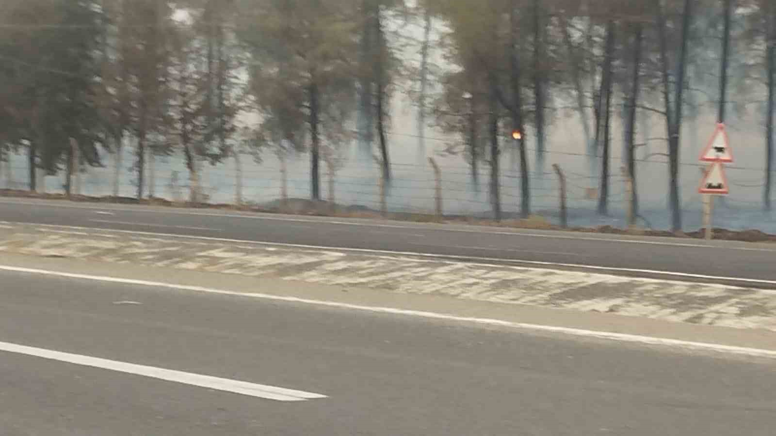 sanliurfada-orman-yangini-alevlerin-petrol-istasyonuna-sicramamasi-icin-seferber-oldular