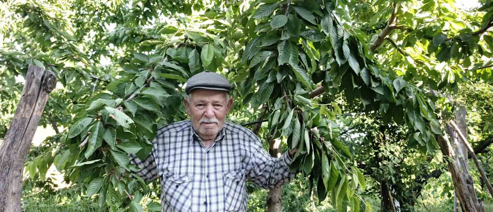 ege-bu-yil-meyveye-hasret
