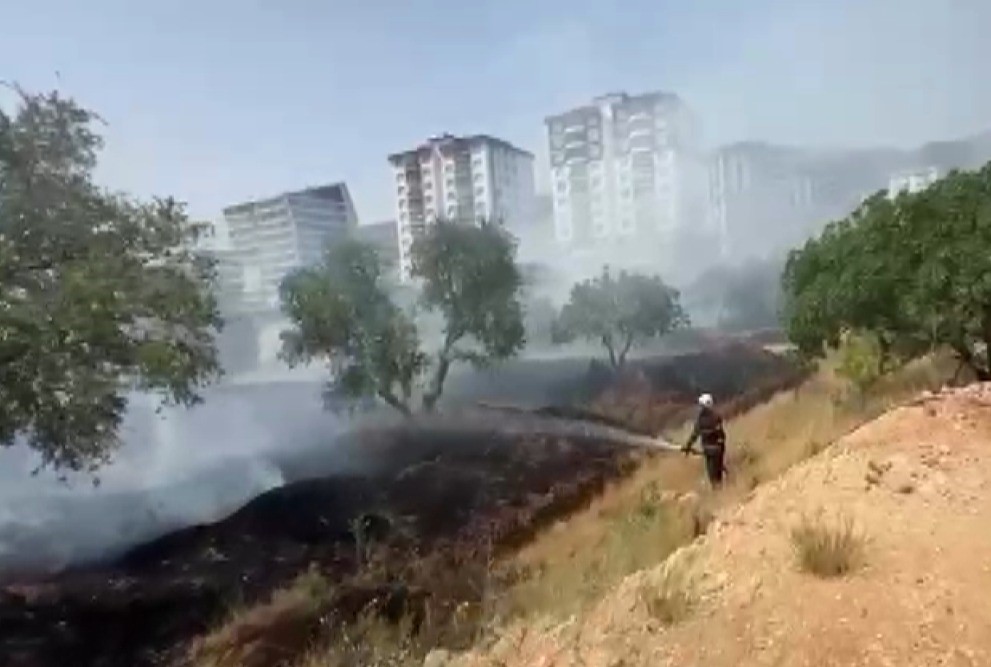 kahramanmarasta-zeytinlik-yangini
