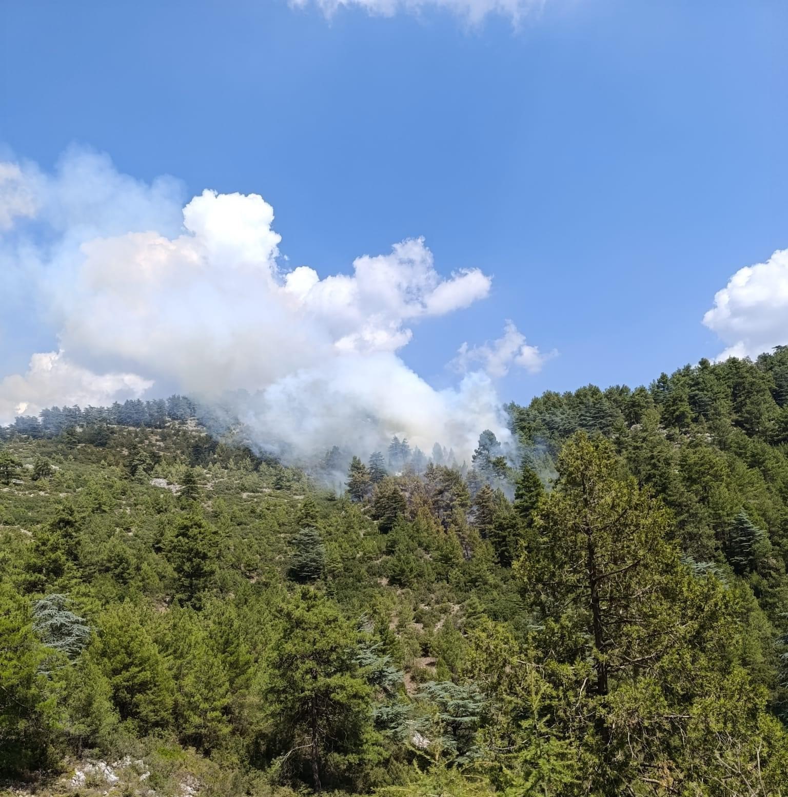 denizlide-yildirim-dusmesi-sonucu-2-ayri-noktada-yangin-cikti