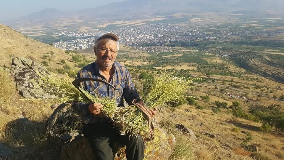 erciyesten-gelen-sifa-kaynagi-karakovan-bali