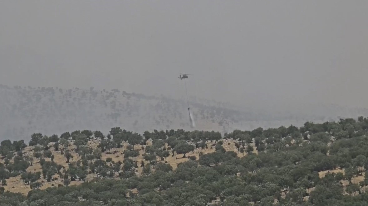mardinde-cikan-orman-yangini-kontrol-altina-alindi