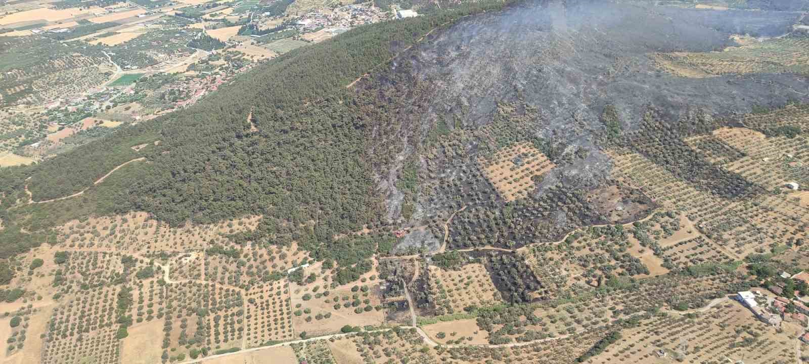 focada-ormanlik-alanda-cikan-yangin-kontrol-altinda