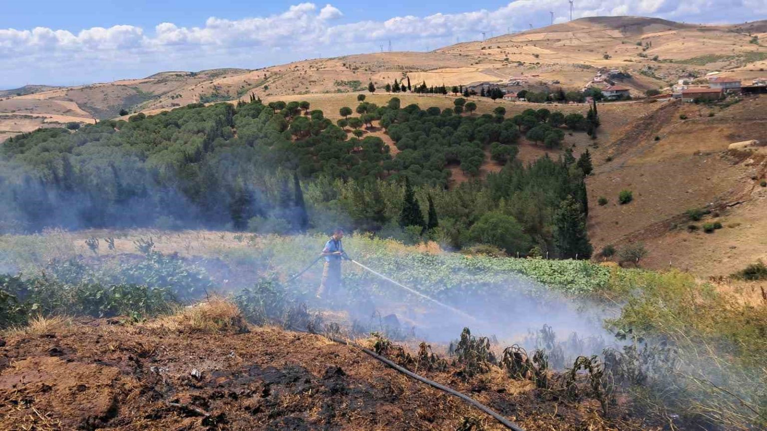 balikesirin-altieylul-ilcesinde-2-arazi-yangini