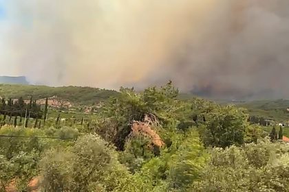 izmirdeki-orman-yanginda-kullanilan-ucak-sayisi-18e-cikti