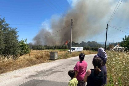 antalyada-ormanlik-alanda-yangin