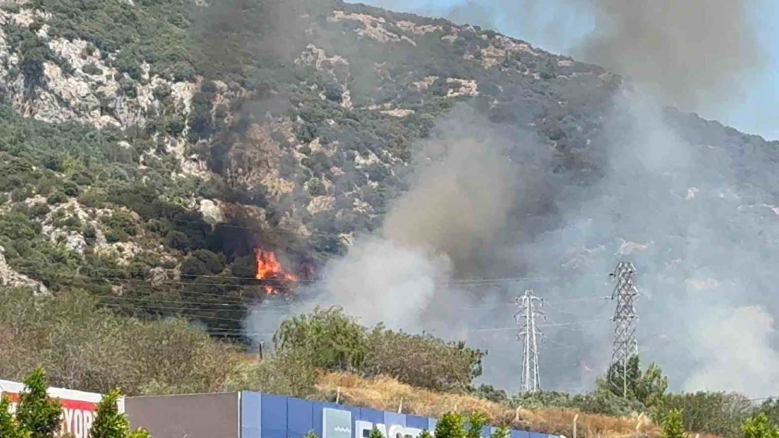 bodrumda-makilik-ve-ormanlik-alanda-yangin-cikti
