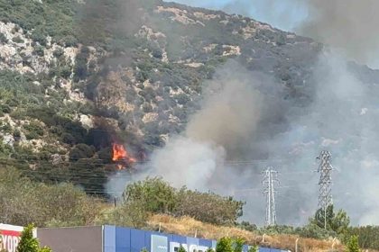bodrumda-makilik-ve-ormanlik-alanda-yangin-cikti