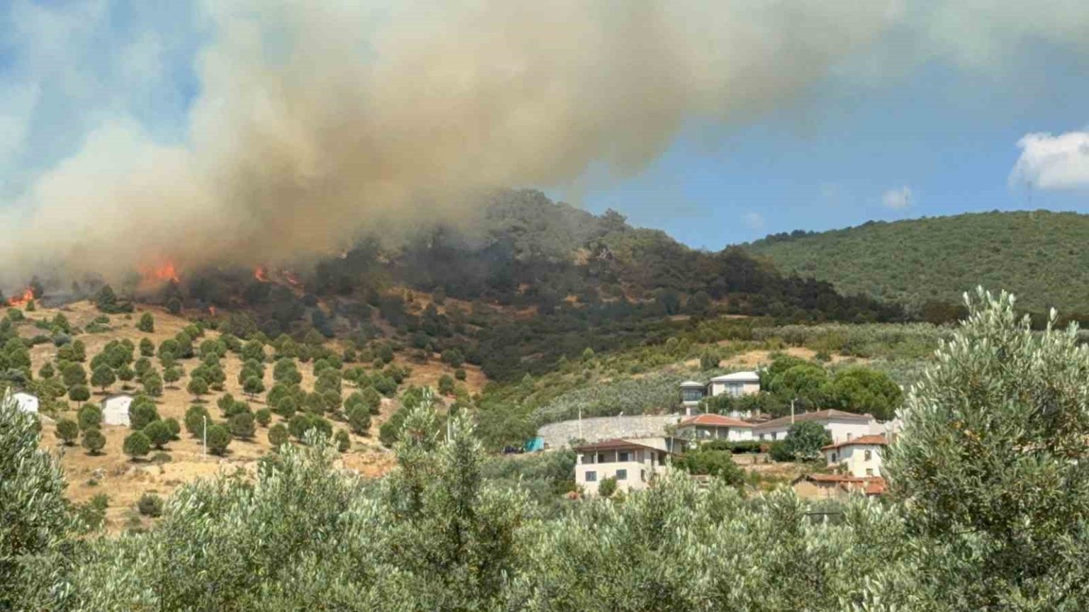 bursa-iznikte-buyuk-orman-yangini